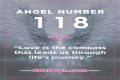 
ANGEL NUMBER 118

